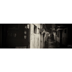 dailyPhoto15